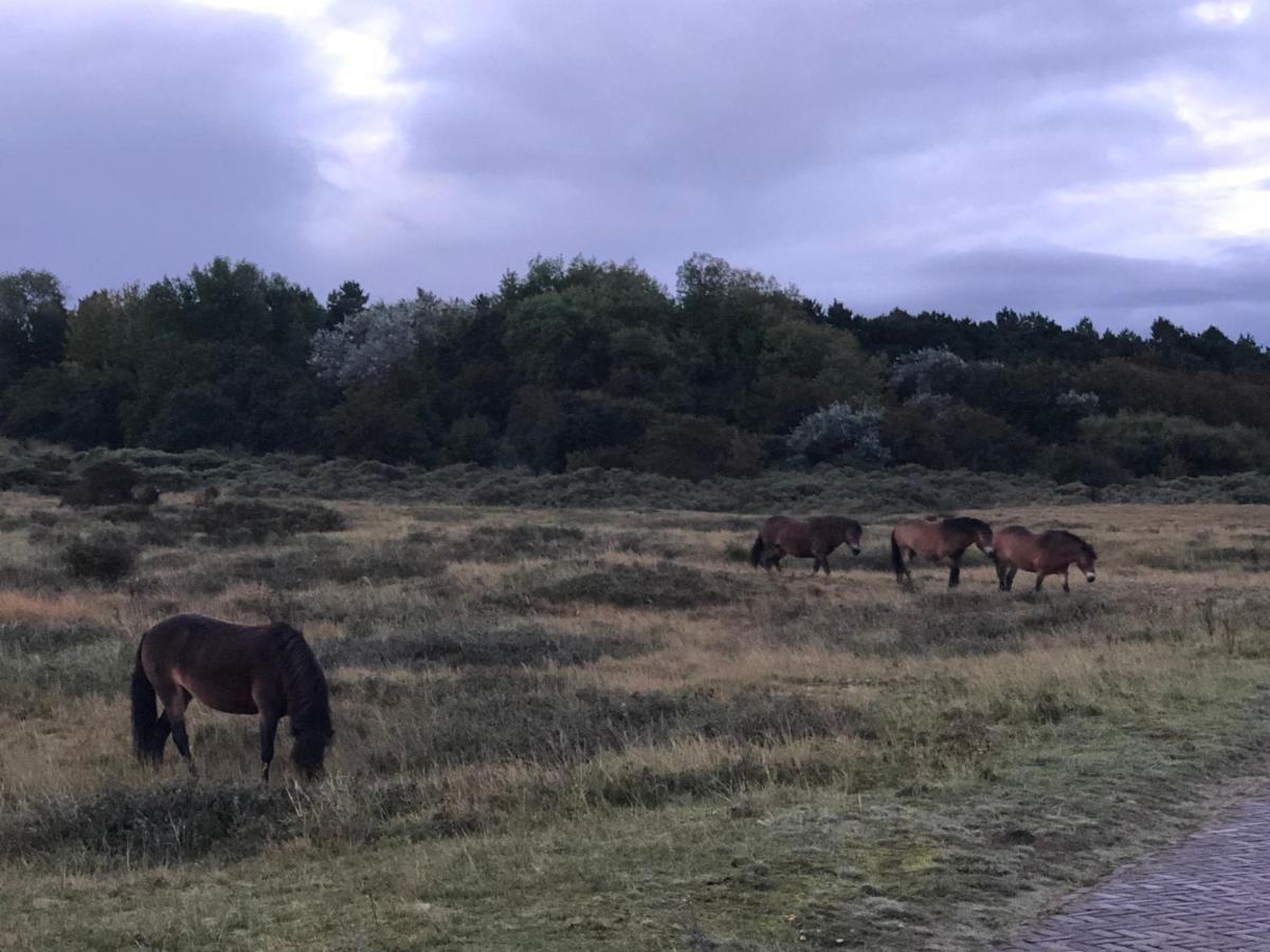 Familiehuis Achter De Duijnhoeve Zuidbakkum Exteriör bild